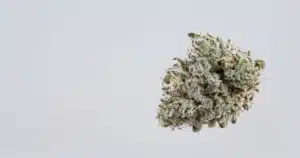 Macro view of a resin covered cannabis bud