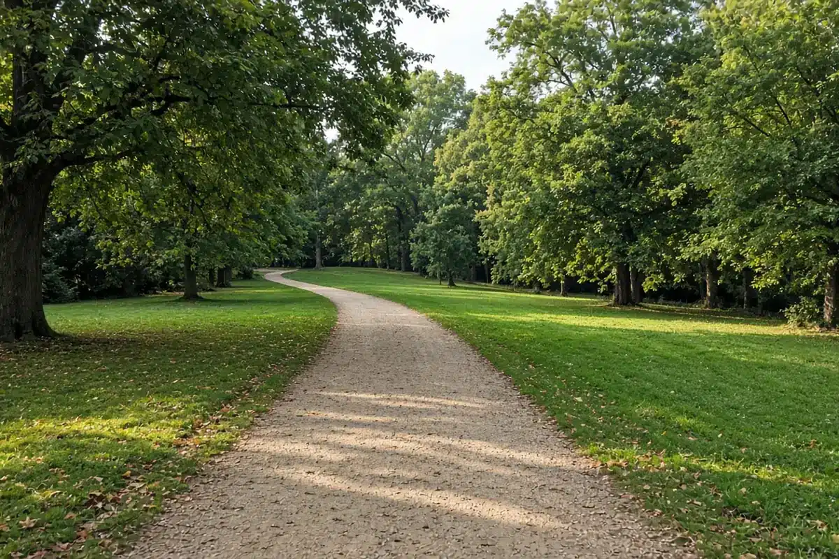 Walking path through a green park