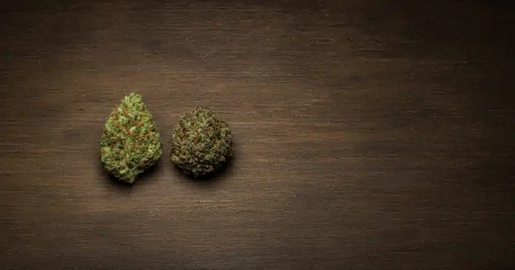 Fresh cannabis bud beside a dried bud on a wooden board