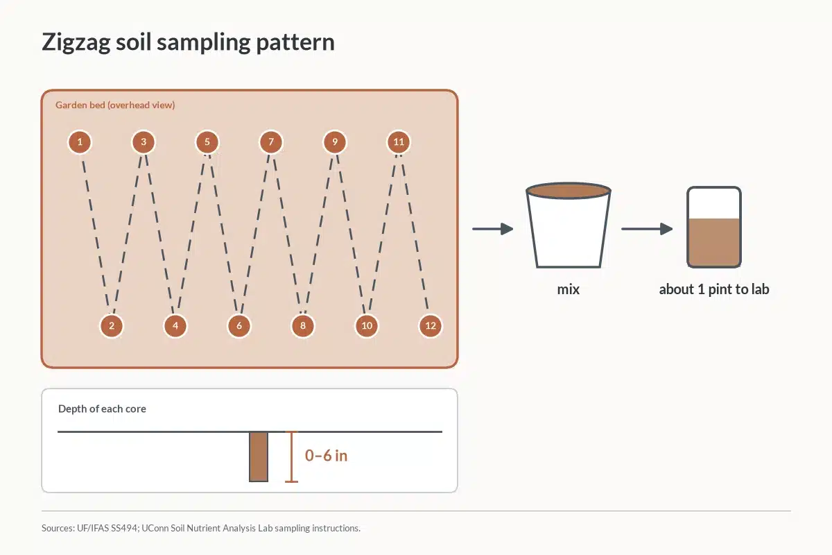 Diagram of a zigzag pattern for collecting soil cores across a garden bed.